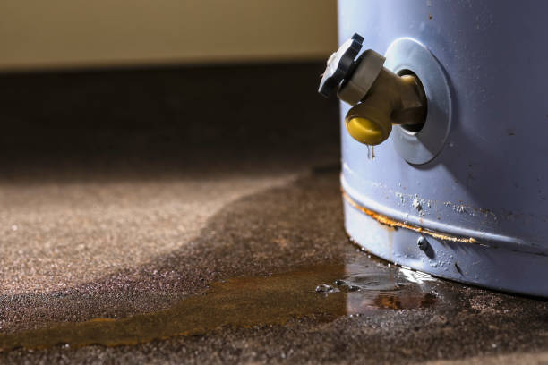 Best Water damage restoration company  in Evansville, IN