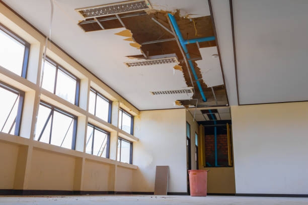 Best Ceiling water damage repair  in Evansville, IN