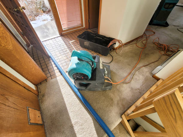 Best Flood restoration services  in Evansville, IN