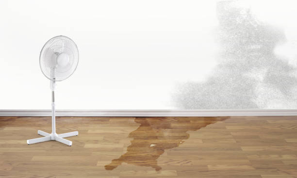Best Water damage restoration process  in Evansville, IN