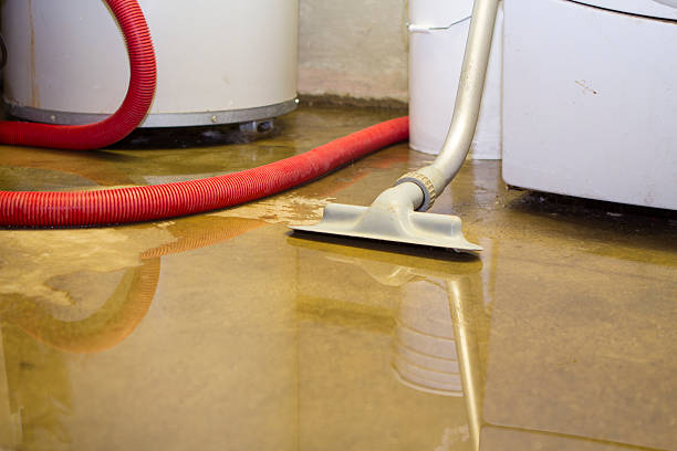 Best Basement water damage restoration  in Evansville, IN