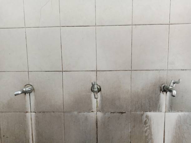Water damage restoration experts in Evansville, IN