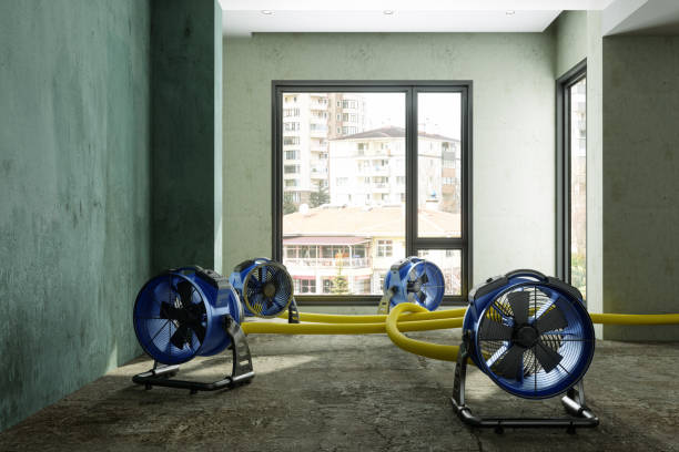 Best Residential water damage restoration  in Evansville, IN